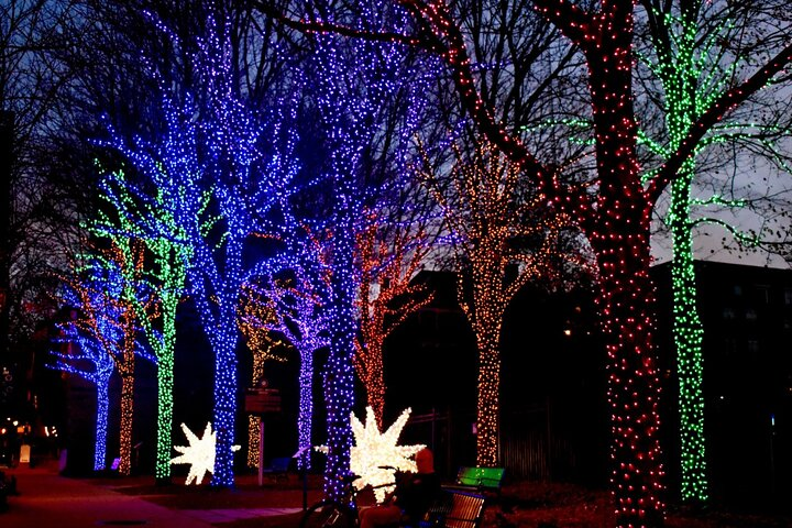 Private Christmas Walking Tour in Atlanta Cultural Heritage - Photo 1 of 8